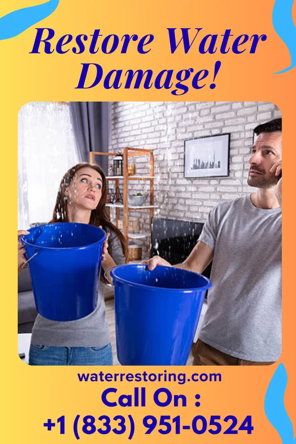 water restoration Ironclad Water Removal & Associates Reno